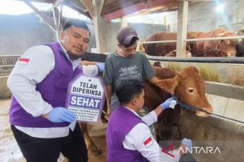 DPKHP Cianjur kerahkan 34 petugas periksa kelayakan daging kurban