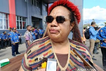 Papua Pegunungan siapkan SK pembentukan KPH di delapan kabupaten