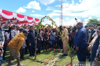Bapenda Biak beri keringanan keterlambatan bayar Pajak Bumi Bangunan