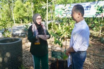 Pemkot Banjarbaru tanam Pohon Gaharu perkuat gerakan Kartini Hebat