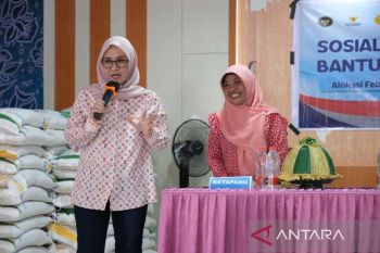 Pemkab Gowa dan Bulog salurkan bantuan pangan ke warga Bontomarannu