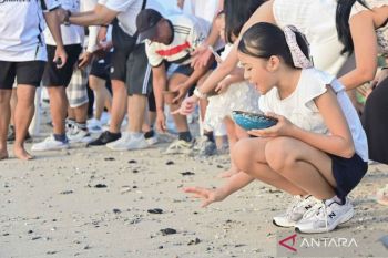 Peringatan World Turtle Day diisi dengan pelepasan tukik di Pantai Sanur