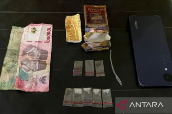 Satresnarkoba Polres Tapsel tangkap terduga pemilik sabu di Halongonan