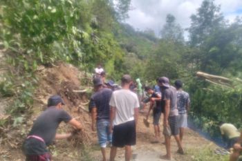 Banjir rendam 50 hektare sawah di Desa Toro Sigi
