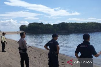 ITDC pastikan pesisir Nusa Dua aman saat viral kemunculan diduga hiu