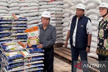 Senator RI minta Bulog Belitung jaga stabilitas harga pangan