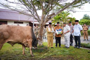Masjid Wasiatul Islam Malinau Terima Hewan Kurban dari Presiden RI