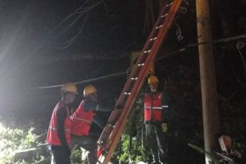 PLN Lampung pulihkan pasokan listrik hingga ke masyarakat
