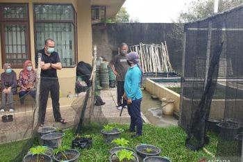 Aksi "3 in 1" siasati keterbatasan lahan pertanian di Palembang