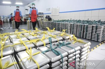 BGN dukung efisiensi anggaran tanpa kurangi nilai manfaat MBG
