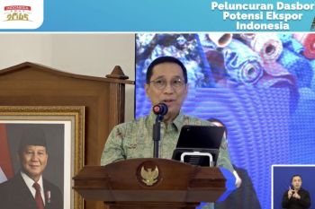 Wamen PPN: Apa yang dialami dunia saat ini merupakan "new normal"