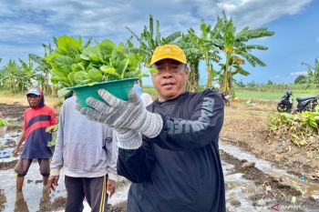 Rutan Situbondo dan Perhutani bina warga binaan pemasyarakatan