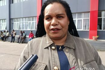 Pemprov sebut sapi Bali paling dominan dipelihara di Papua Pegunungan
