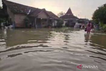 Banjir di Pati rendam pemukiman warga akibat luapan sungai