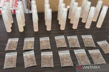 Polisi bongkar pabrik narkotika jenis tembakau sintetis di Kendari