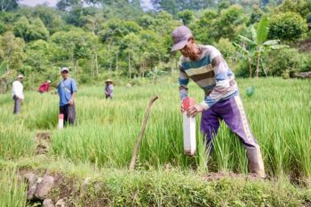Pasang patok, cara sederhana cegah sengketa tanah dengan tetangga