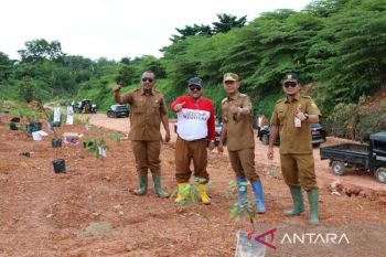 Pemkot Banjarmasin hijaukan bekas bukit sampah TPAS Basirih
