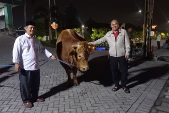 PWNU Jatim terima sapi kurban 1,1 ton dari Gubernur Jatim