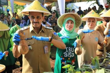 Jaksel panen 1,1 ton labu madu untuk kuatkan pertanian perkotaan