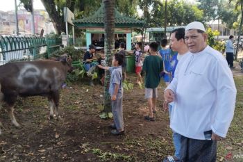 Masjid Agung Palembang bagikan 2.000 kupon daging kurban