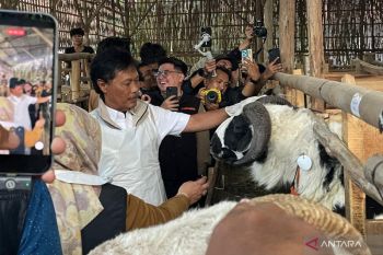 Kota Cirebon pastikan 2.300 ternak layak kurban