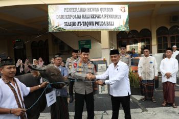Polda Bali serahkan 96 ekor hewan kurban sambut hari raya