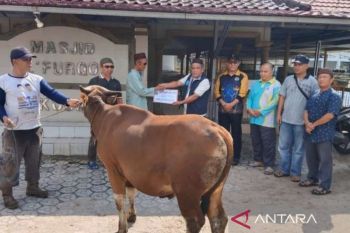 Mendorong "redesain" skema karitas kurban