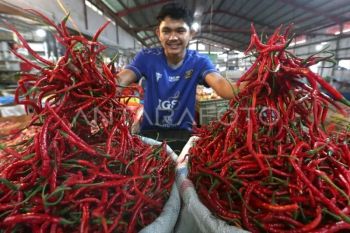 CORE: Penguatan "cold chain" kunci putuskan siklus gejolak harga cabai