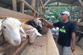 Distanak Jateng imbau penyembelihan hewan kurban sesuai kaidah kesehatan