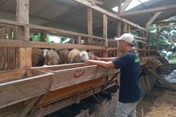Jateng miliki 700 juru sembelih
