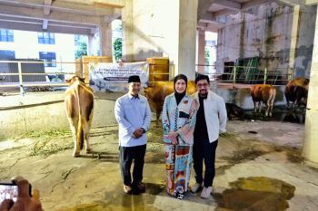 DPW Partai NasDem Jatim salurkan kurban untuk organisasi kemasyarakatan