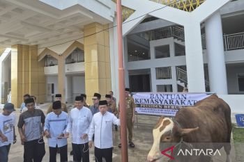 Gubernur Jambi serahkan sapi bantuan Presiden Prabowo kualitas terbaik