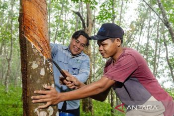 Reswara dorong kemandirian masyarakat lewat program CSR dan ESG
