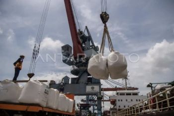 Berikut kinerja pendapatan dan hibah APBN Kalteng per April 2026
