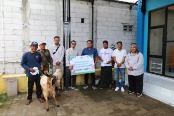 PLTU Batang serahkan 31 sapi dan kambing di 25 lokasi