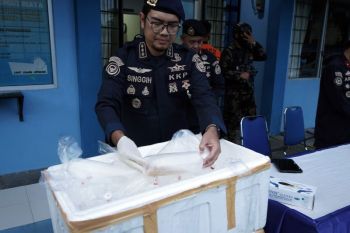 PLN Lampung pastikan kesiapan sistem kelistrikan pada Idul Adha