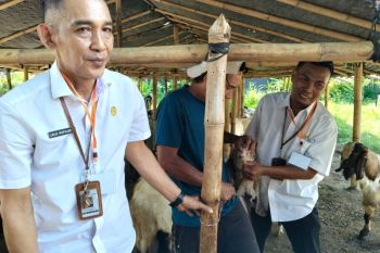 Distan Mataram menyiapkan petugas gabungan cek kesehatan hewan kurban