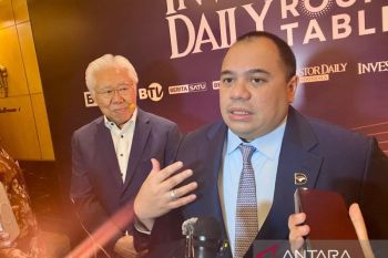 Danantara bakal merekrut talenta global untuk mengisi SDM di PT DSI