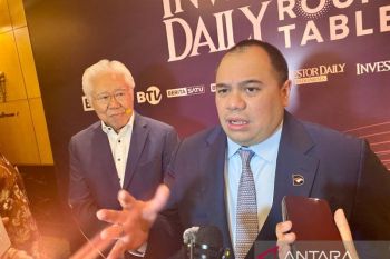 DSI runs profit-oriented business: Danantara
