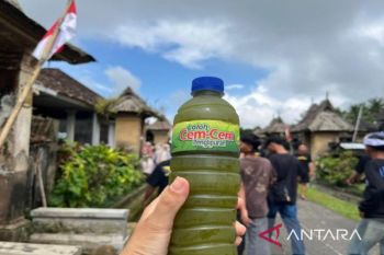Upaya Desa Penglipuran kembangkan Loloh Cemcem untuk dongkrak ekonomi