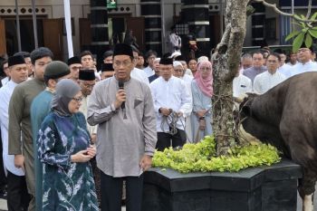 Menkeu Purbaya serahkan sapi seberat 868 kg untuk kurban