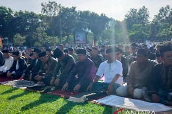Pemotongan hewan kurban di Agam meningkat 3,5 persen