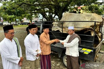 Shalat Id di Lapangan Agathis, Gubernur Kaltara Serahkan Sapi 850 Kg