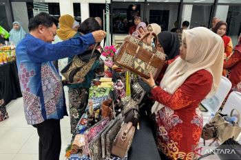 Anggota Komisi VII DPR RI: UMKM Kaltara Kita Utamakan Untuk Naik Kelas