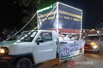 Puluhan mobil hias semarakkan malam pawai takbir Idul Adha di Kapuas