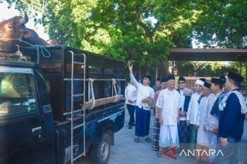 NTB menyalurkan daging kurban dalam bentuk kalengan