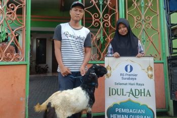 RS Premier Surabaya salurkan kurban ke 12 lembaga sosial