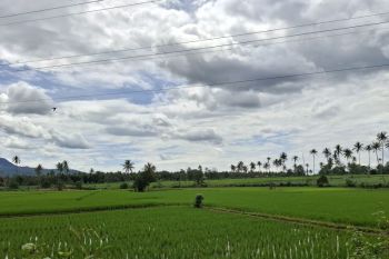 Lampung usul 101 jaringan irigasi utama pada 2026