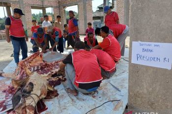 Daging kurban dari Presiden dibagikan ke 450 KK di Tanjungpinang