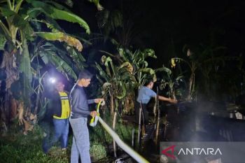 Polisiamankan sembilan orang terkait kebakaran di Bengkalis